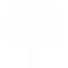 Logo_white_no_words_transparent_background
